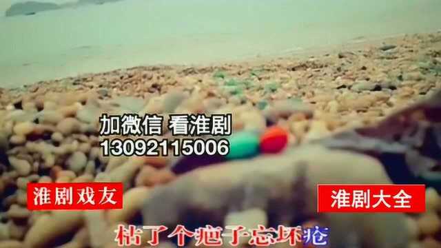 淮剧曲调 自由调《方卿见姑》演唱:何叫天