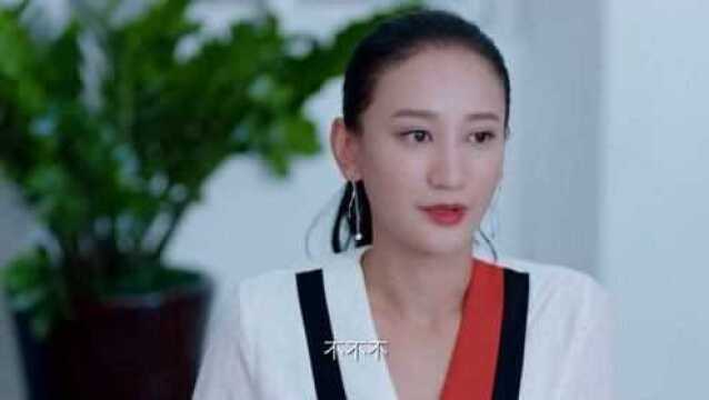 影视:女人跟乃欣谈生意,乃欣答应帮大姐,准备给程垦介绍生意!