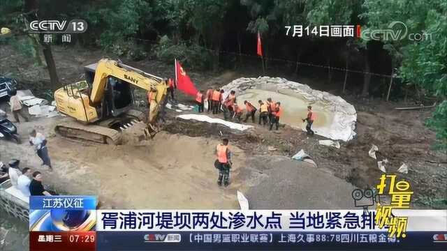 江苏仪征:胥浦河堤坝两处渗水点,当地紧急排险|央视网