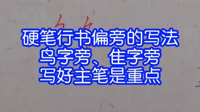 硬笔偏旁鸟字旁、隹字旁如何写?这12个书写技巧给你答案,主笔书写很重要