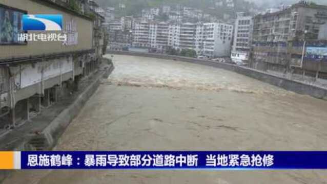 恩施鹤峰:暴雨导致部分道路中断 当地紧急抢修