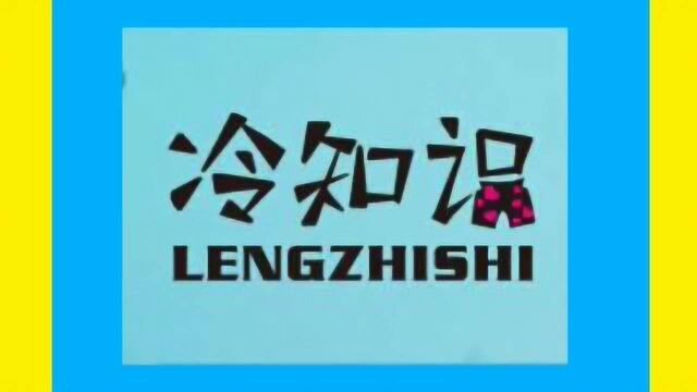 微课堂冷知识,你们所不知道的小海龟,快来了解一下吧.