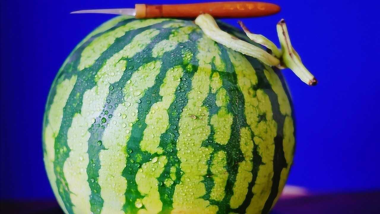 1280