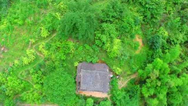 背靠大山,处在龙脉里,这才是真正的风水宝地