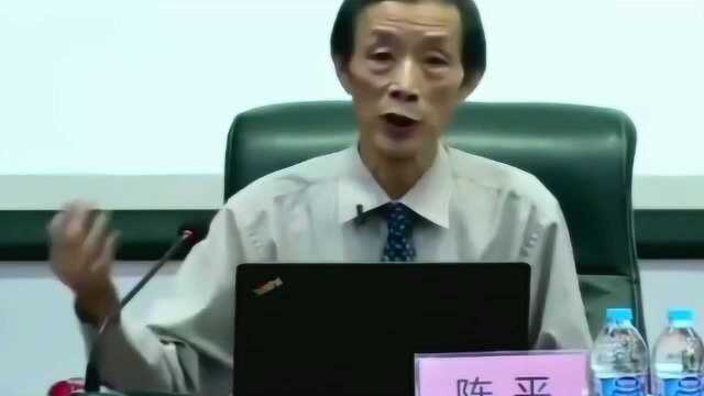 陈平:中国有个非常不好的风气,有很多著名的媒体经济学家!