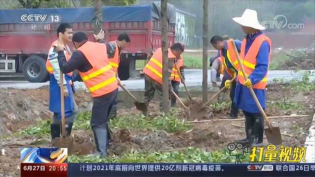 江西:改善村庄环境,亮出最美风景线|央视网