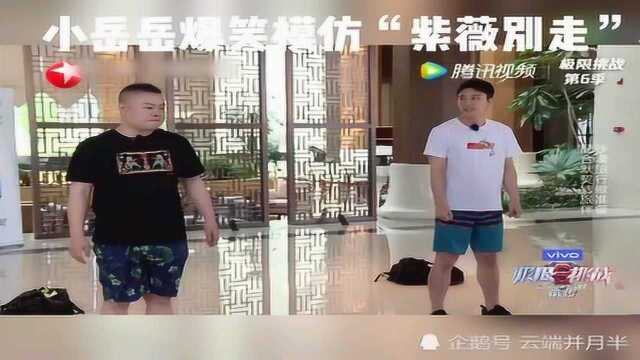 岳云鹏爆笑模仿尔康“紫薇别走”表情包