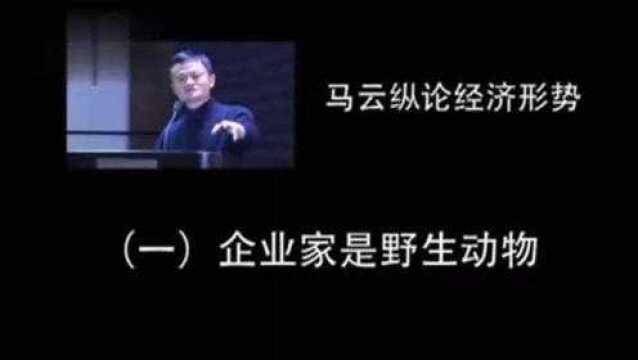 马云企业家是野生动物