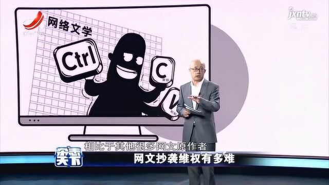 杂志天下:网文抄袭维权有多难