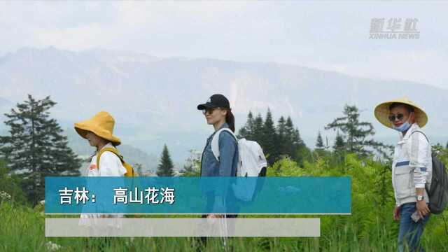 吉林:高山花海