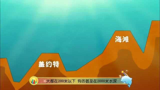 十万个为什么海洋版:平顶海山为何名字如此古怪呢?你知道吗?