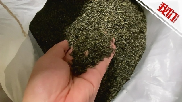 安徽歙县茶企3000吨茶叶受灾追踪:经烘干滚炒 部分茶叶得到抢救