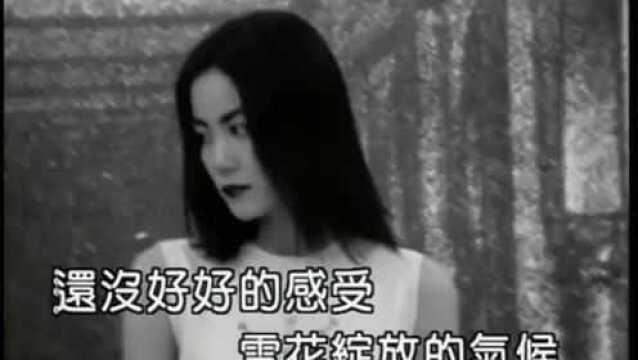 经典回眸王菲《红豆》