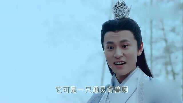 青云志:曾书书见三眼神猴两眼放光,要当宠物,却被猴子教育实惨