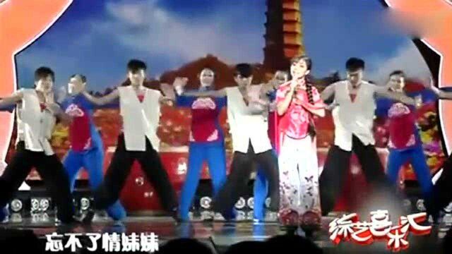 王二妮演唱歌曲《爱陕北》美妙的歌声,唱出了对家乡的热爱