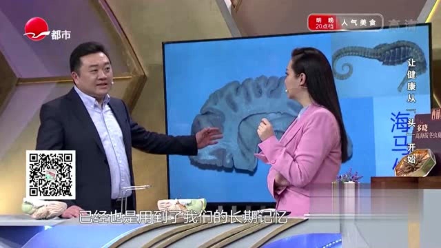 记忆力和大脑哪个部分有关系?想保持记忆力,两个坏习惯要少做