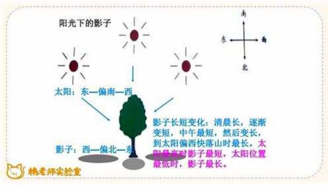 橘老师课堂第184期:[科普实验]观察阳光下影子的变化