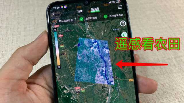 教你用遥感技术种田,能随时观看农作物的变化,实用又免费