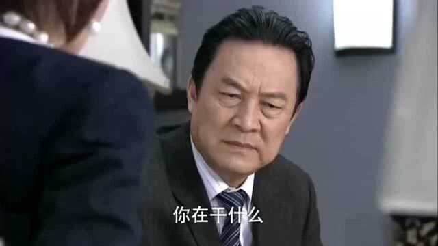 回家的诱惑:女人过了三十年也没放下仇恨,收购了仇人的公司