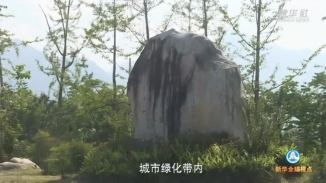 警惕重金“移石造景”之风:有的景观石一块逾百万元