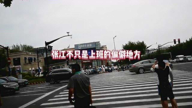 左长泰右汇智 上海张江不再只是一个“上班”的偏僻地方