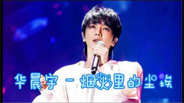 华晨宇  烟火里的尘埃好看好听音乐