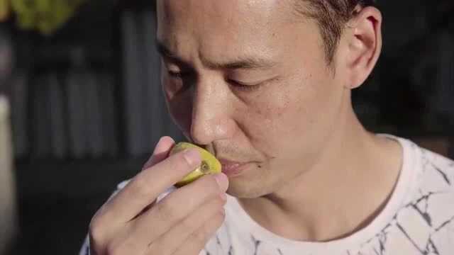 风味原产地:云南特色水果酸多依是大厨的心头好