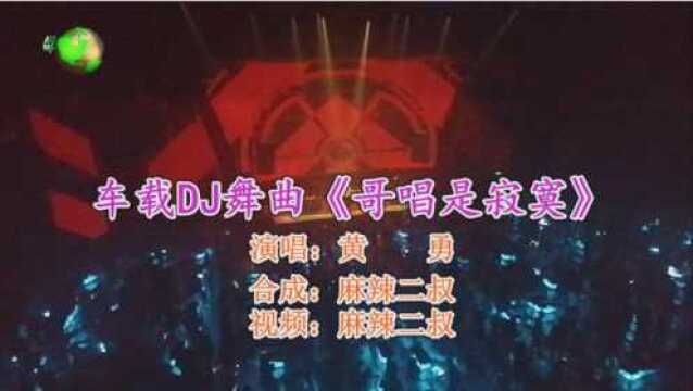 车载DJ舞曲《哥唱是寂寞》李志洲高音质DJ版经典歌曲