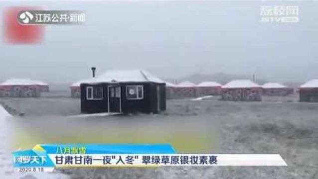 八月飘雪?甘肃甘南一夜“入冬” 翠绿草原披上银装!