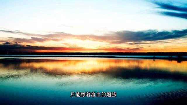 爱在湛江,爱如星光