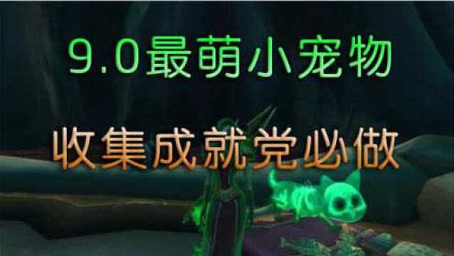 魔兽世界,9.0最受欢迎小宠物,收集成就党福利,九死一生果冻猫