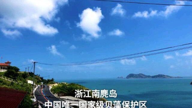 浙江南麂岛:中国唯一国家级贝藻保护区,被誉为“贝藻王国”