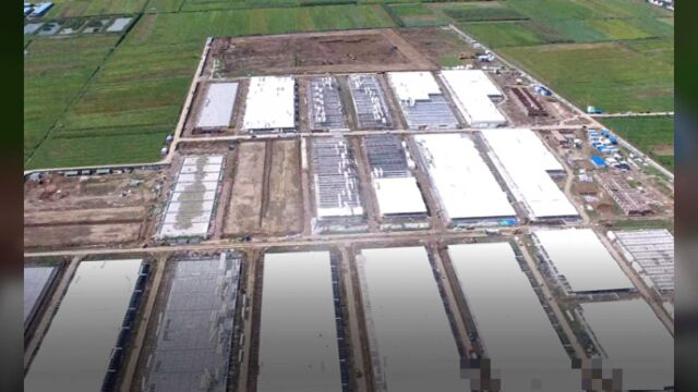 立刻停建!全面调查!河南牧原占1.5万亩农田建养猪场