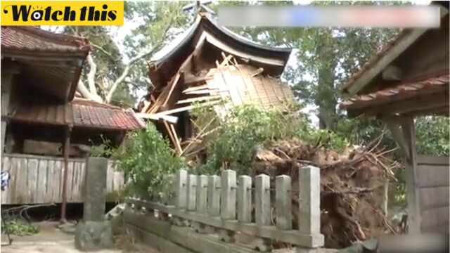 台风”海神“肆虐日本九州:避难所玻璃碎裂外墙垮塌神社百年大树倾倒