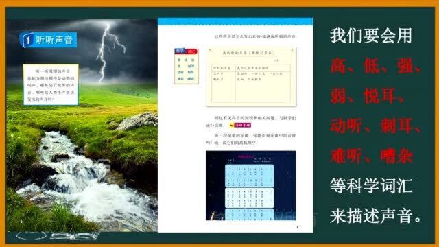 小学科学四上第一单元单元整理