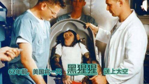 62年前，美国将一只黑猩猩送上太空，回到地面后怪事不断