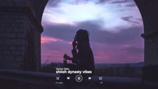 电音推荐 shiloh dynasty vibes