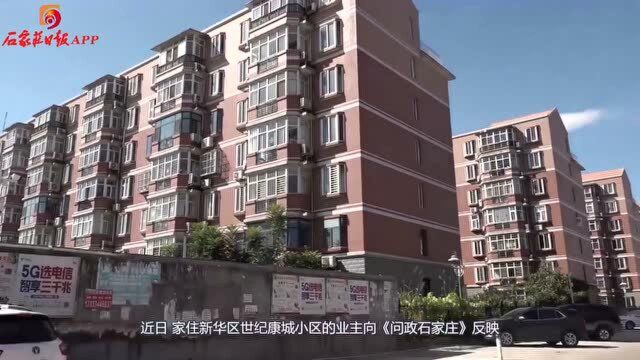 “问政石家庄”之《一问到底:规划道路建停车场租车位可以吗?》