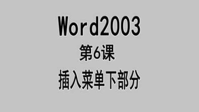 word2003第6课插入菜单下部分