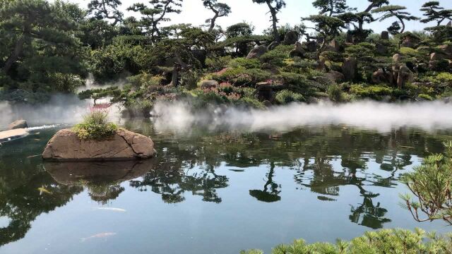 希望把这美景复制到美丽新乡村公众平台上出租的农村院子里