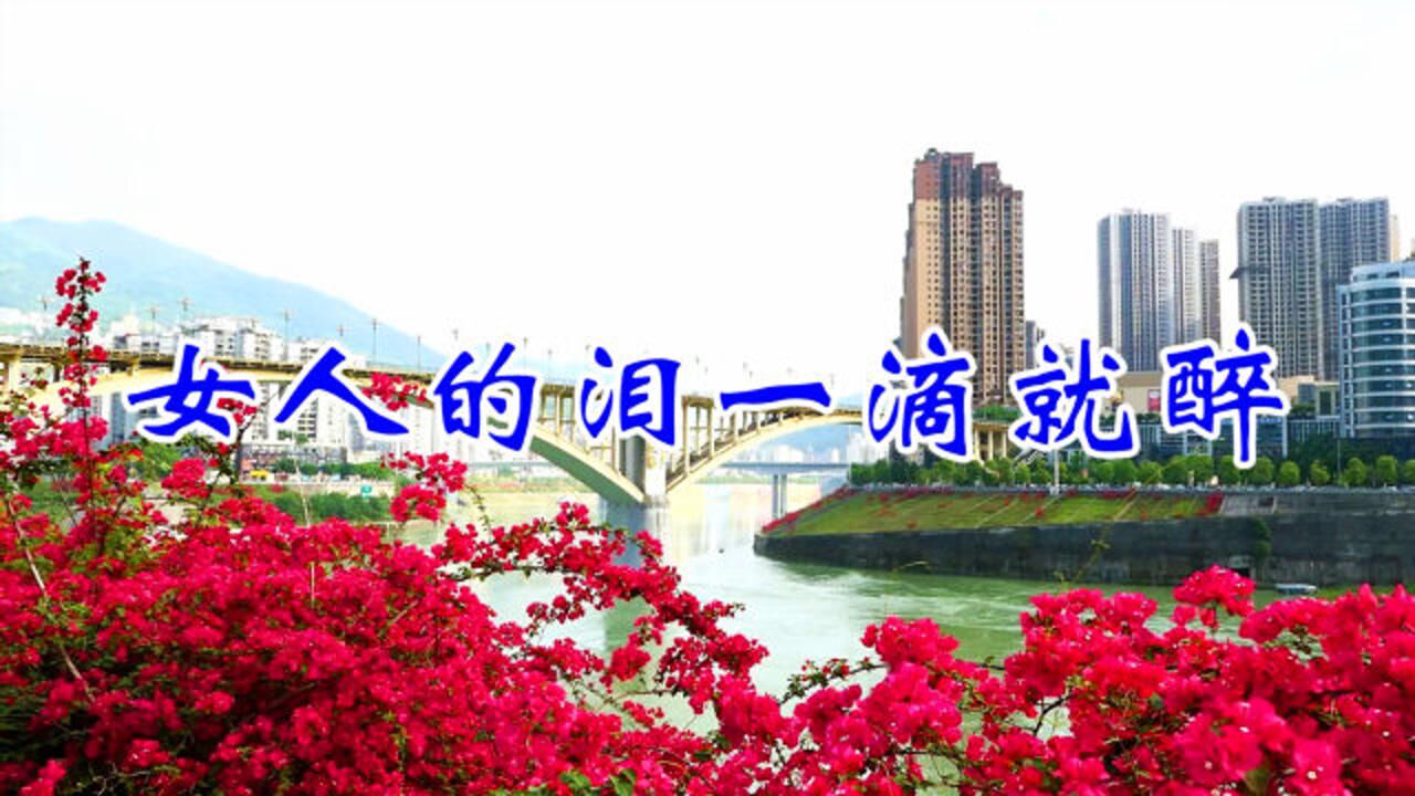 一首情歌女人的泪一滴就醉歌词简单易懂直戳人心超级好听