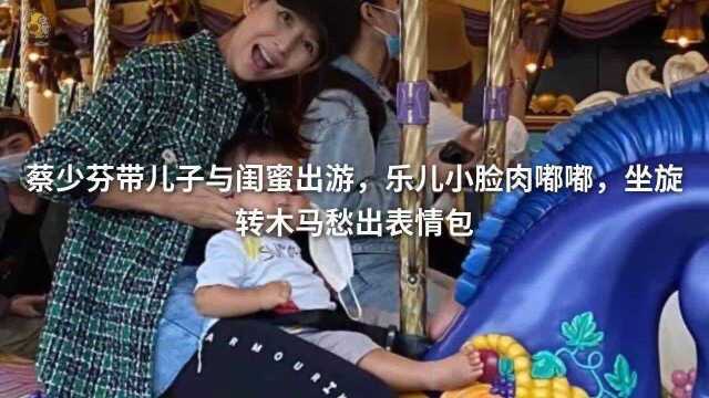 蔡少芬带儿子与闺蜜出游,乐儿小脸肉嘟嘟,坐旋转木马愁出表情包