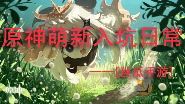 丝瓜手游:萌新入坑原神日常2