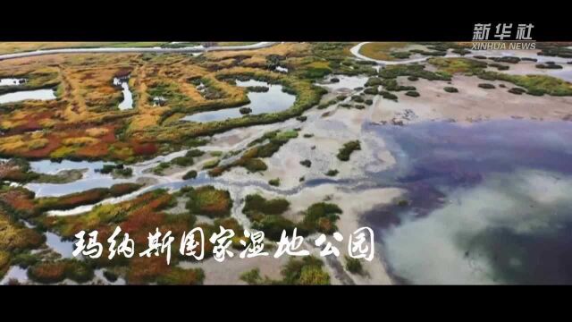 云游|新疆玛纳斯国家湿地公园