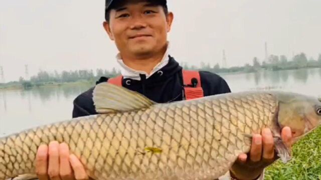 全网最牛的钓鱼大师来钓巨物,穿着水衣搭建钓台直接开干,看完收获我羡慕了