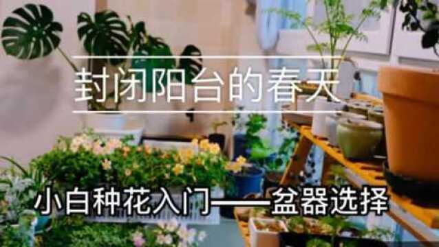 封闭阳台的春天——小白种花入门之盆器选择