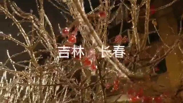 暴雪!大暴雪!特大暴雪!