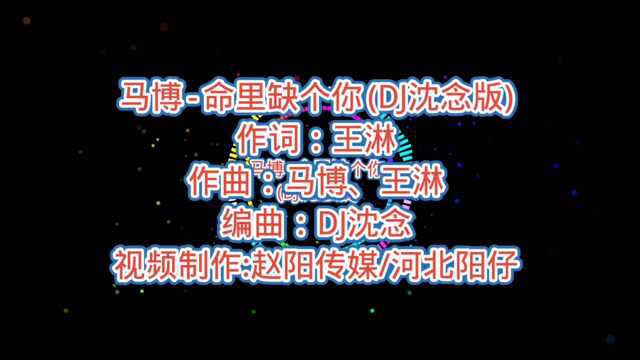 马博  命里缺个你 (DJ沈念版)