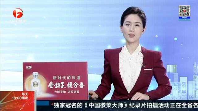 桐城:国内首个智慧县城项目落户桐城