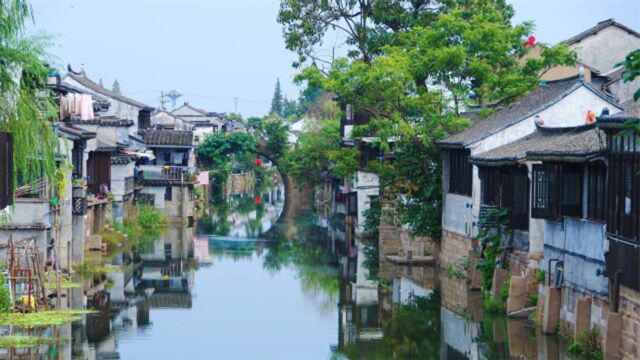 苏州和深圳,哪座城市最有潜力,成为高等教育发达地区